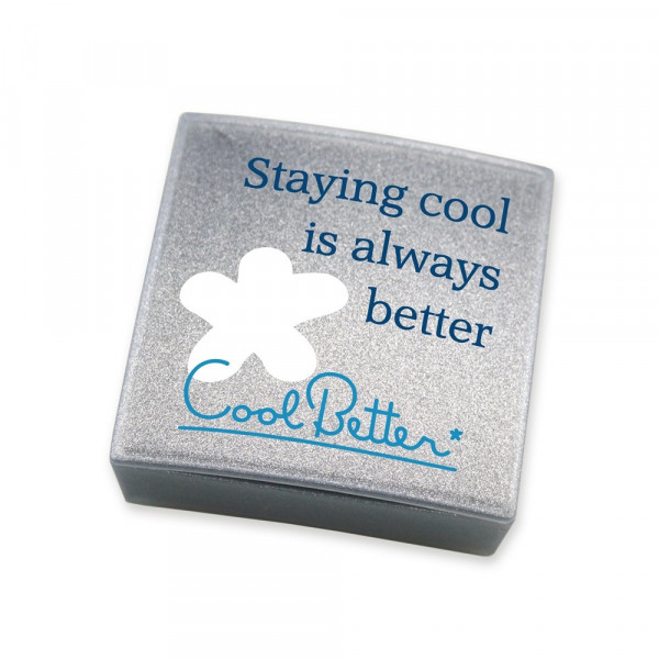 Gift Box Classic Gift Box Classic with print Silber mit Vollfarbdruck